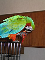 White River in Arkansas 154.jpg